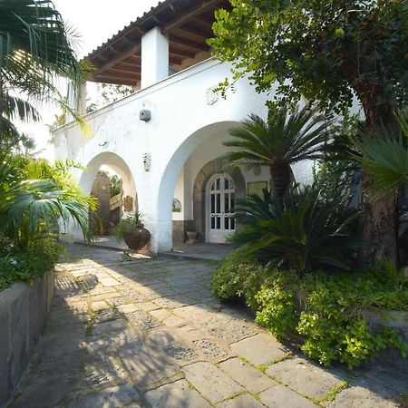 B&B Villa Regine Forio (Isola d'Ischia) Exterior foto