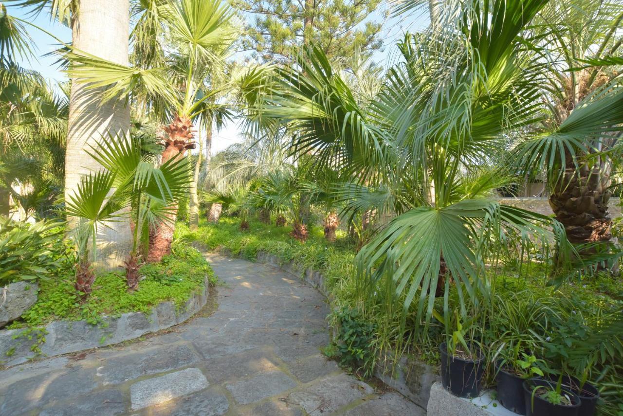 B&B Villa Regine Forio (Isola d'Ischia) Exterior foto